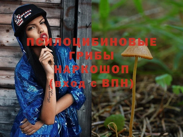 мдпв Семилуки
