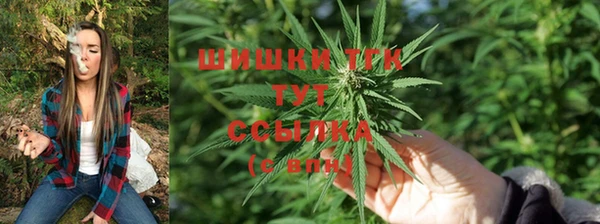 мдпв Семилуки
