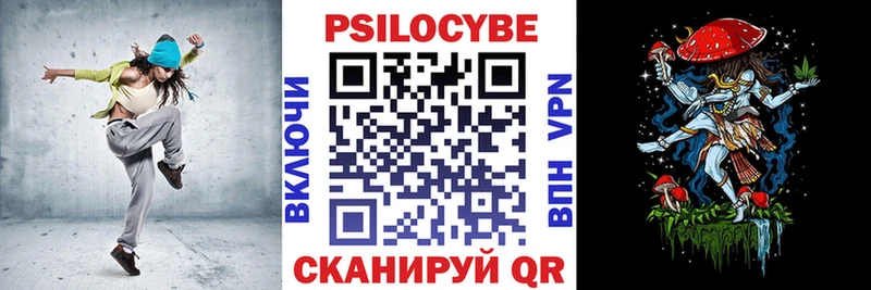 закладка  Гвардейск  ссылка на мегу маркетплейс  Псилоцибиновые грибы прущие грибы 