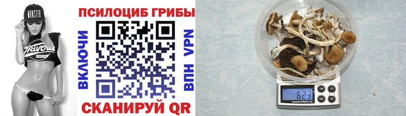 Галлюциногенные грибы мицелий Гвардейск